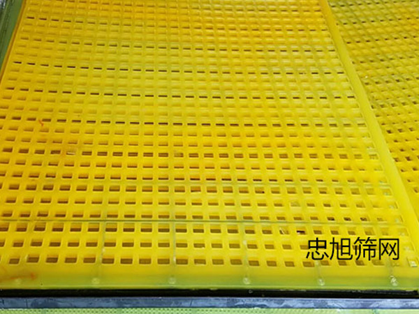 聚氨酯篩網(wǎng)